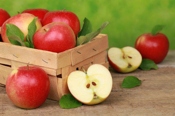 Необходимые условия для длительного хранения яблок