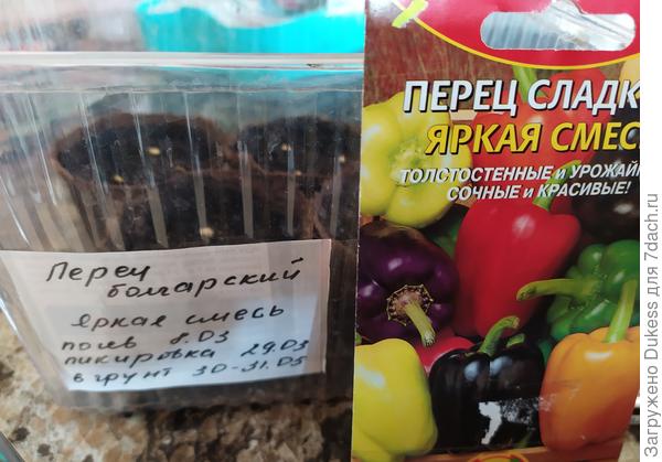 Болгарский перец – кладезь витаминов. Проверенные сорта