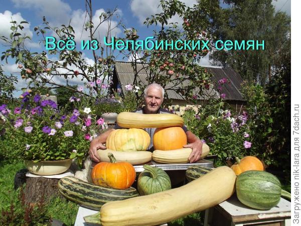 Урожай из семян НПО "Сады России"