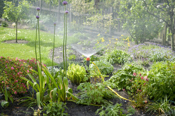 Устройства для удобного полива сада-огорода