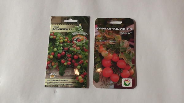 Как вырастить томаты на подоконнике: посев, выращивание рассады