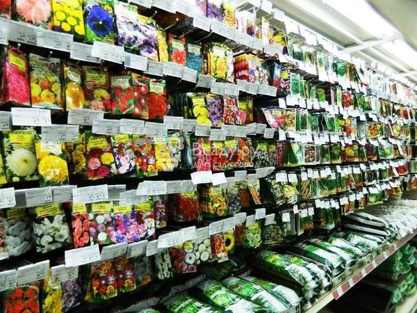 Как купить семена: 10 правил покупки семян