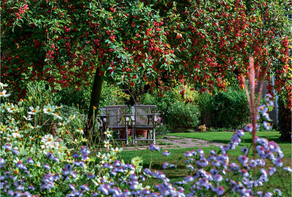Деревья и кустарники с яркими плодами: осенние самоцветы в вашем саду