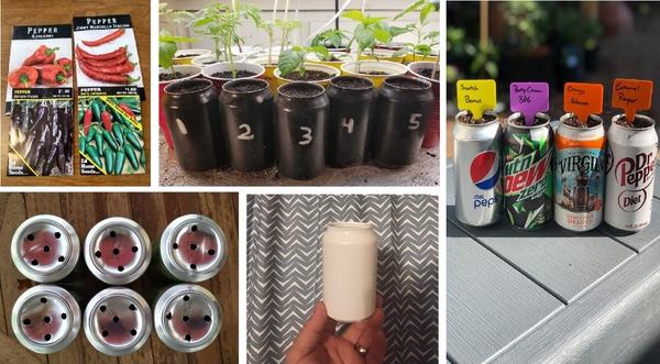 «Перец в банке» – в социальных сетях запустили необычный флешмоб для садоводов