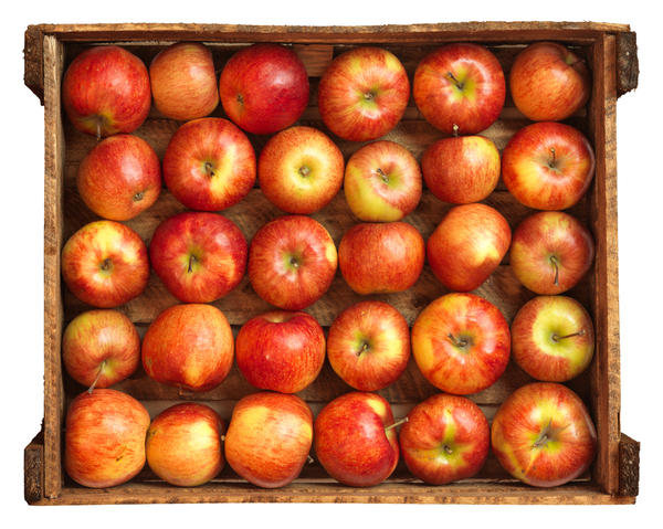 Необходимые условия для длительного хранения яблок