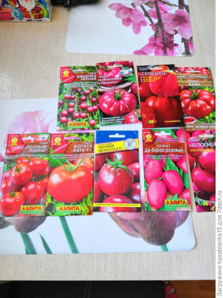 Приступаю к замачиванию семян томатов
