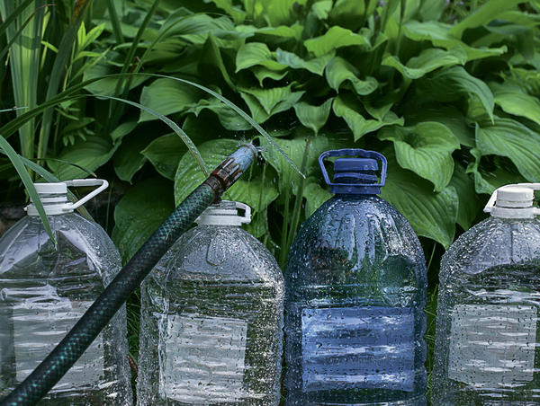 Пластиковые бутылки с пользой для сада: экономия воды и удобрений