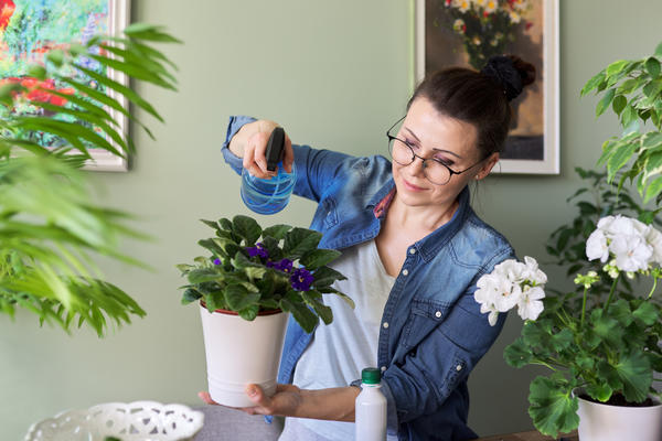 И кактусам, и орхидеям: выбираем все необходимое для здоровья комнатных растений